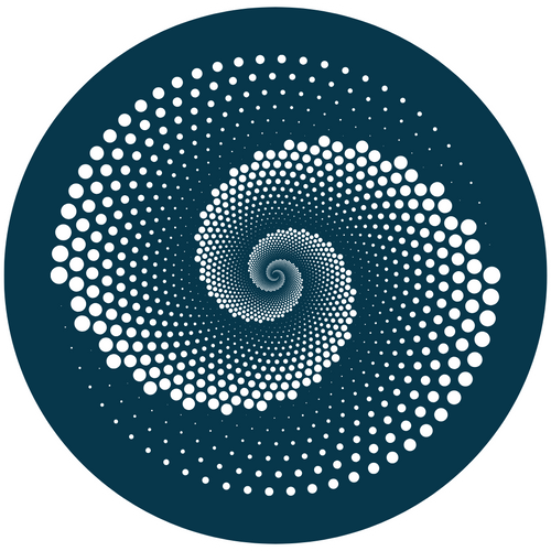 Spin